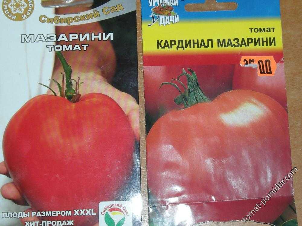Томат мазарини: отзывы, фото, урожайность | tomatland.ru