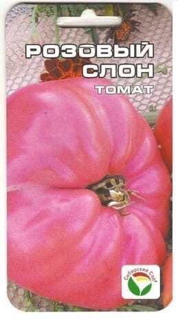 Томат розовый гигант: описание и характеристики, особенности посадки и выращивания, болезни и вредители, достоинства и недостатки