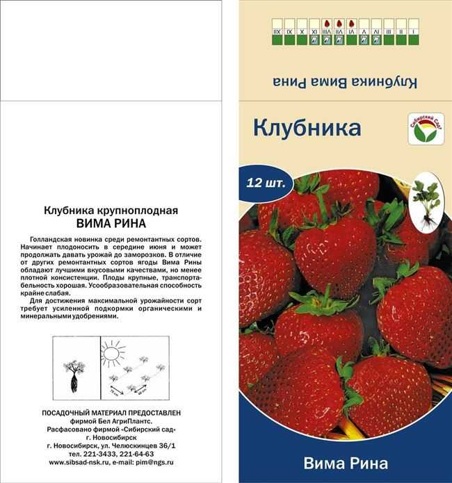 Клубника вима занта: описание и характеристики сорта садовой земляники, правила выращивания виктории и фото