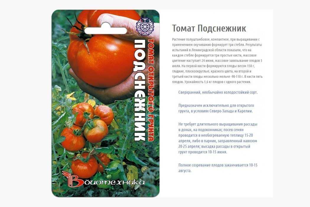 Томат перцевидный оранжевый: описание и характеристики, особенности посадки и выращивания, болезни и вредители, достоинства и недостатки
