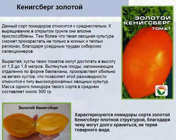 Морковь — как сажать и не прореживать, сорта моркови фото, правила и рекомендации, болезни и вредители моркови, подкормка