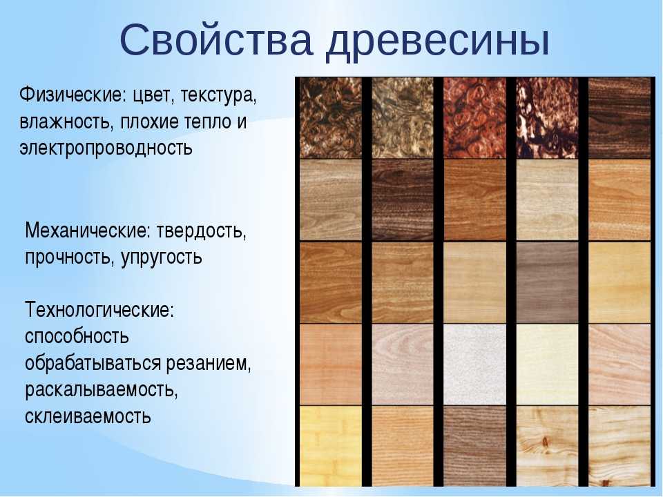 Карельская береза (26 фото): изделия из древесины, текстура, где растет дерево, как отличить от обыкновенной, цвет среза, как выглядит