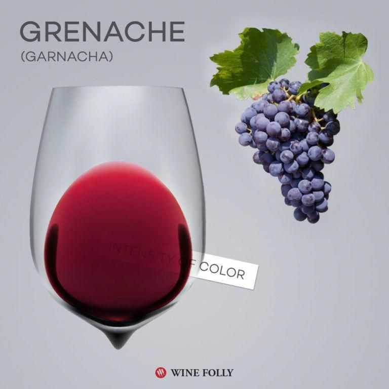 Вино франции из винограда гренаш | блог сомелье