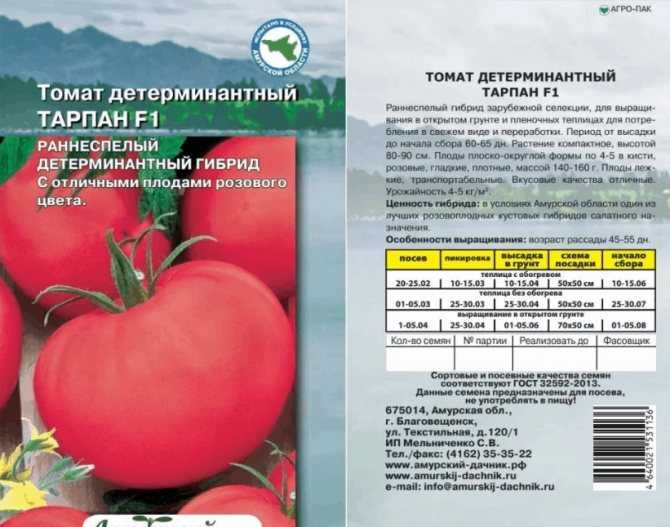 Томат казанова: описание сорта помидоров оригинальной формы, выращивание и отзывы