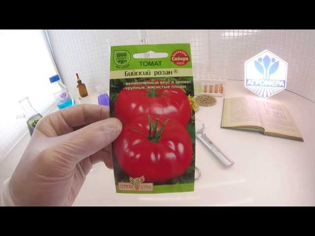 6 важных шагов для получения большого урожая томатов в открытом грунте