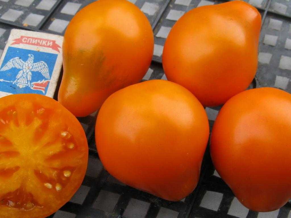 Японский трюфель – томаты с отменным вкусом: особенности выращивания и ухода