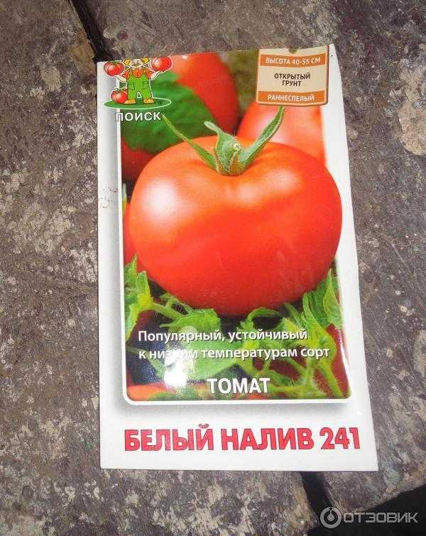 Томат белый налив 241 фото урожайность характеристика. Семена помидоров белый налив. Томат сорт белый налив 241. Семена томат белый налив.