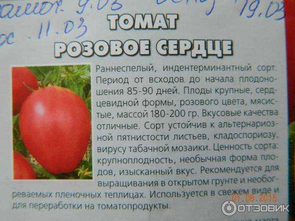 Томат моравское чудо: описание сорта, отзывы, фото | tomatland.ru