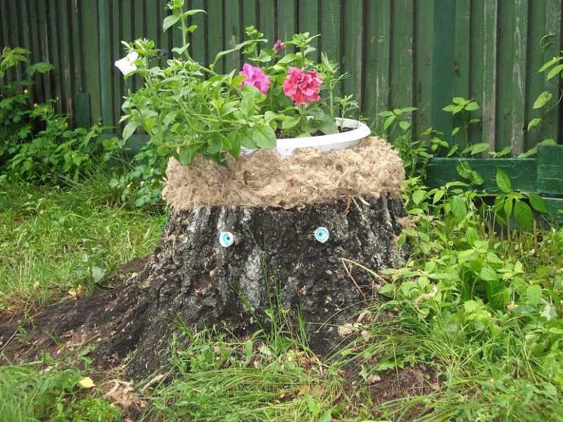 Домик из пня: как сделать дом для гномиков из пенька своими руками в саду? оформление старого пня дерева на даче