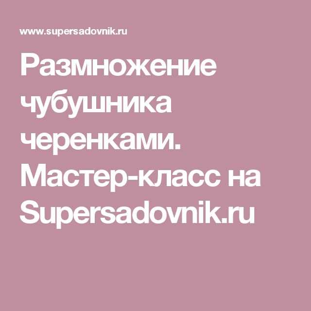 Виды ив: личный опыт на supersadovnik.ru