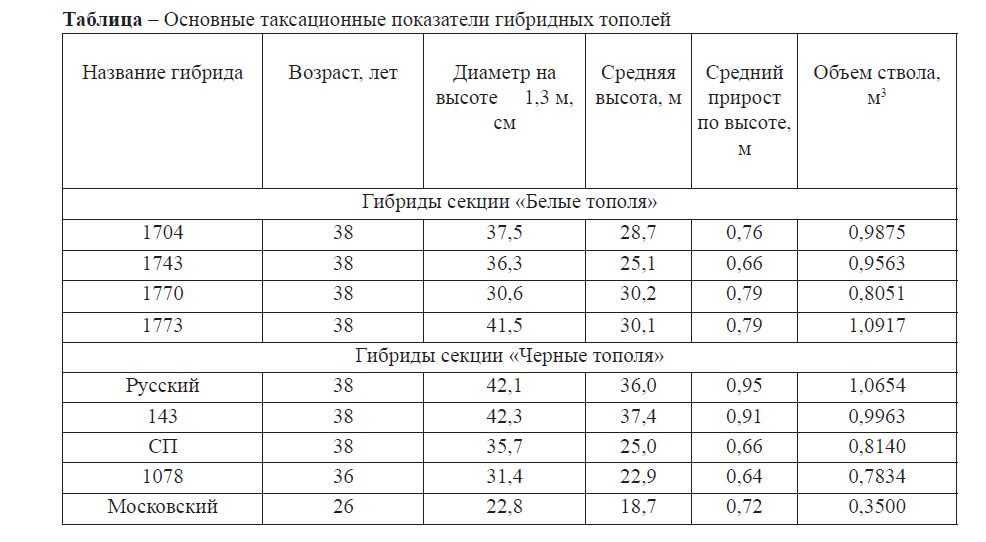Сколько лет живет береза? как быстро растет? продолжительность жизни и возраст деревьев в россии. за сколько лет вырастает до взрослого состояния?