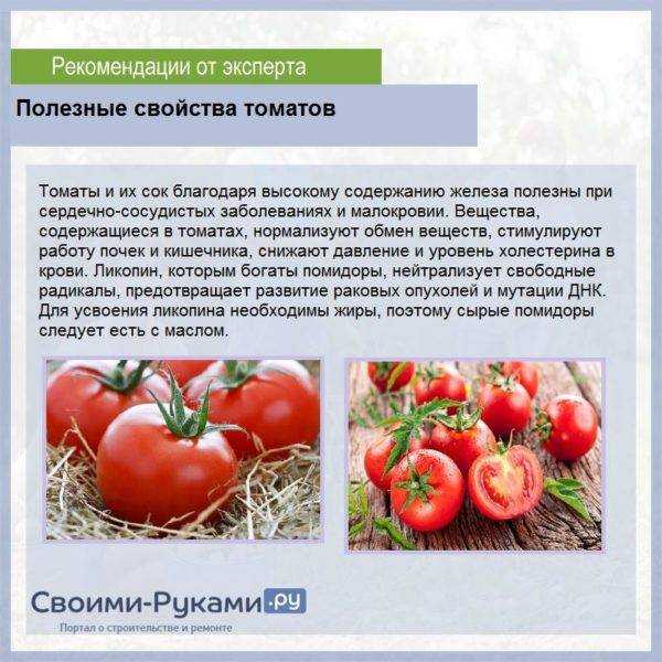 6 важных шагов для получения большого урожая томатов в открытом грунте