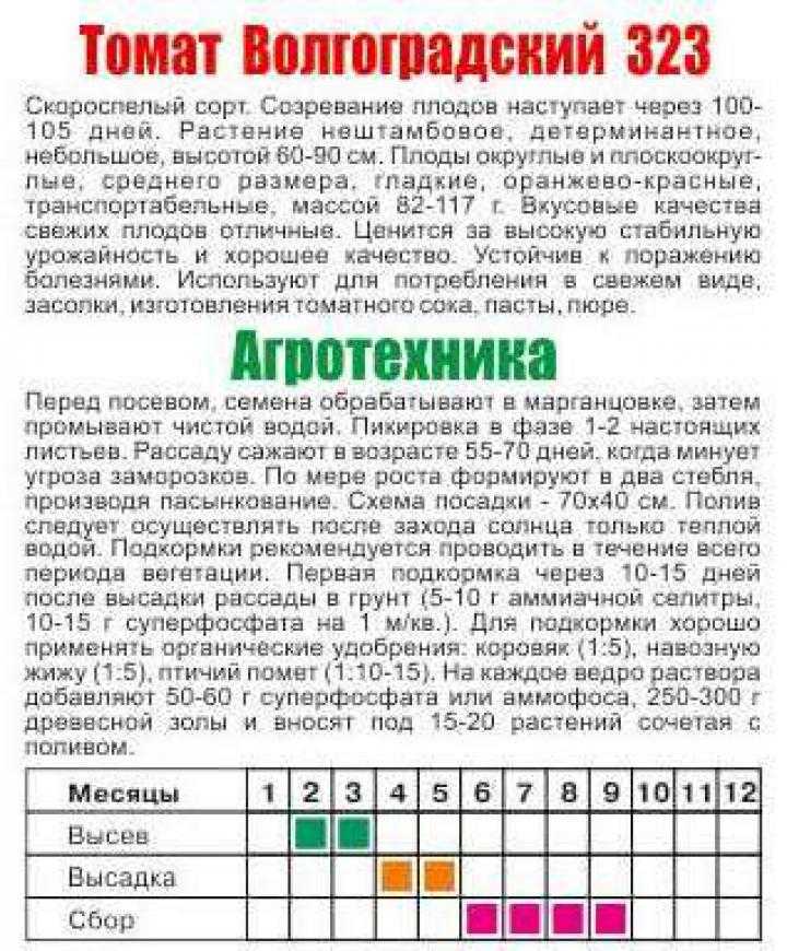 Волгоградский скороспелый томат 323 характеристика и описание