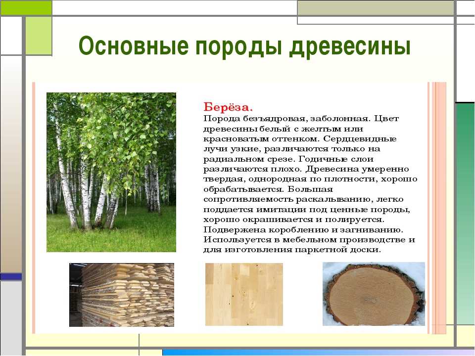 Красное дерево: текстура, фото, цена на породы | строительство. деревянные и др. материалы