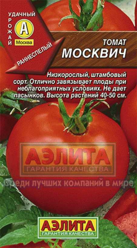 Характеристика и описание томатов москвич — правила выращивания и отзывы дачников