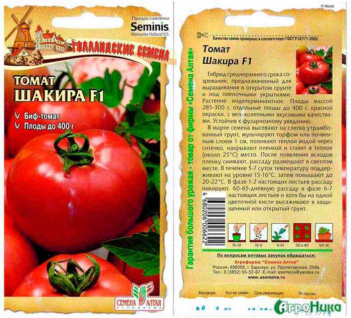 Сорт томатов биг биф f1: описание гибридного сорта, правила выращивания, достоинства и недостатки